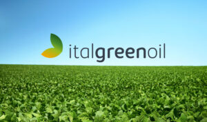 Scopri di più sull'articolo Dietro le quinte di Ital Green Oil: un video-tour nel cuore della produzione olearia
